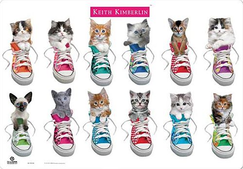 Super Udsalg: Keith Kimberlin Katte Skrivebordsmåtte 195x165 cm