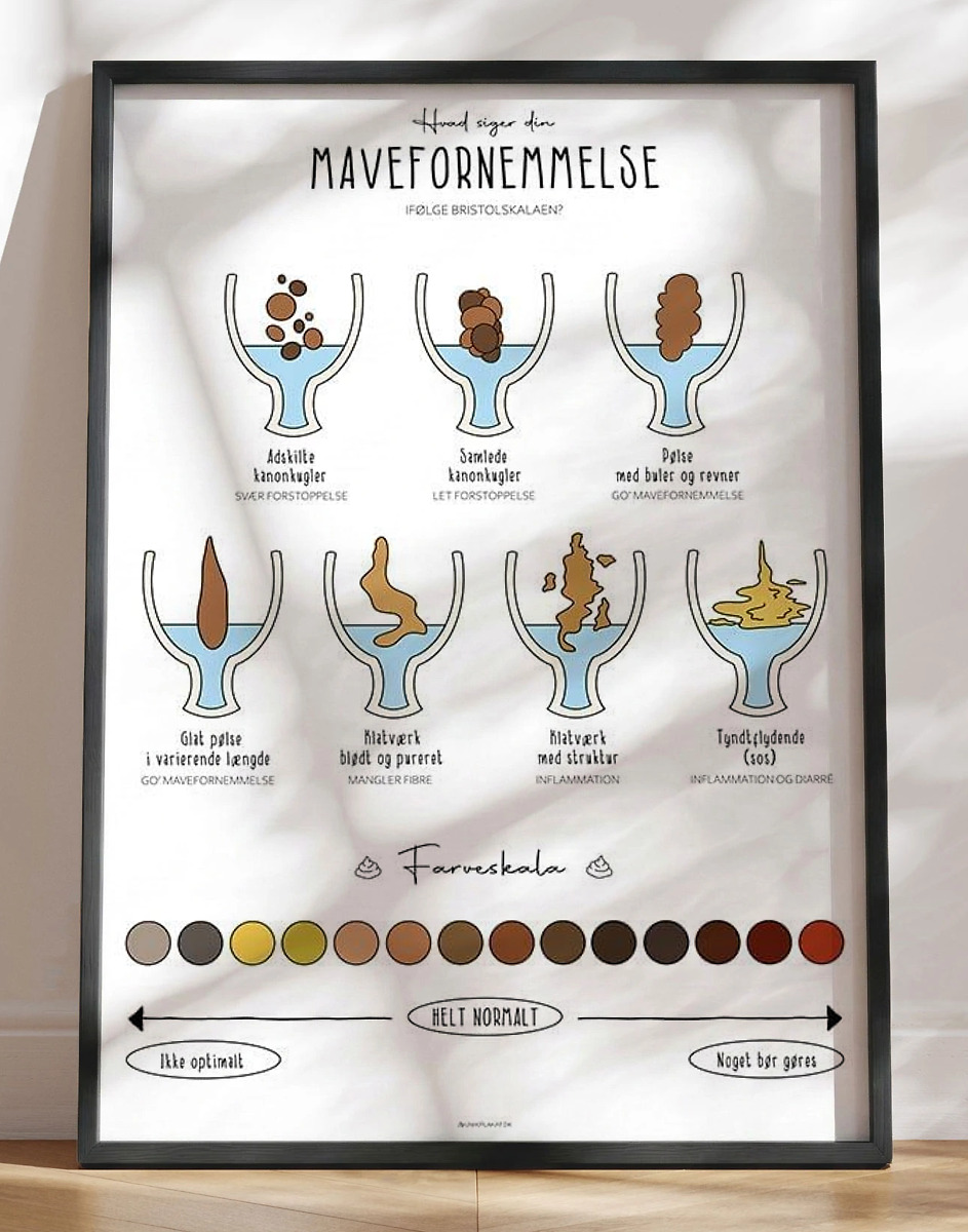Toiletplakat Med Pøllefarver   -konsistenser Hvad Siger Din Mavefornemmelse