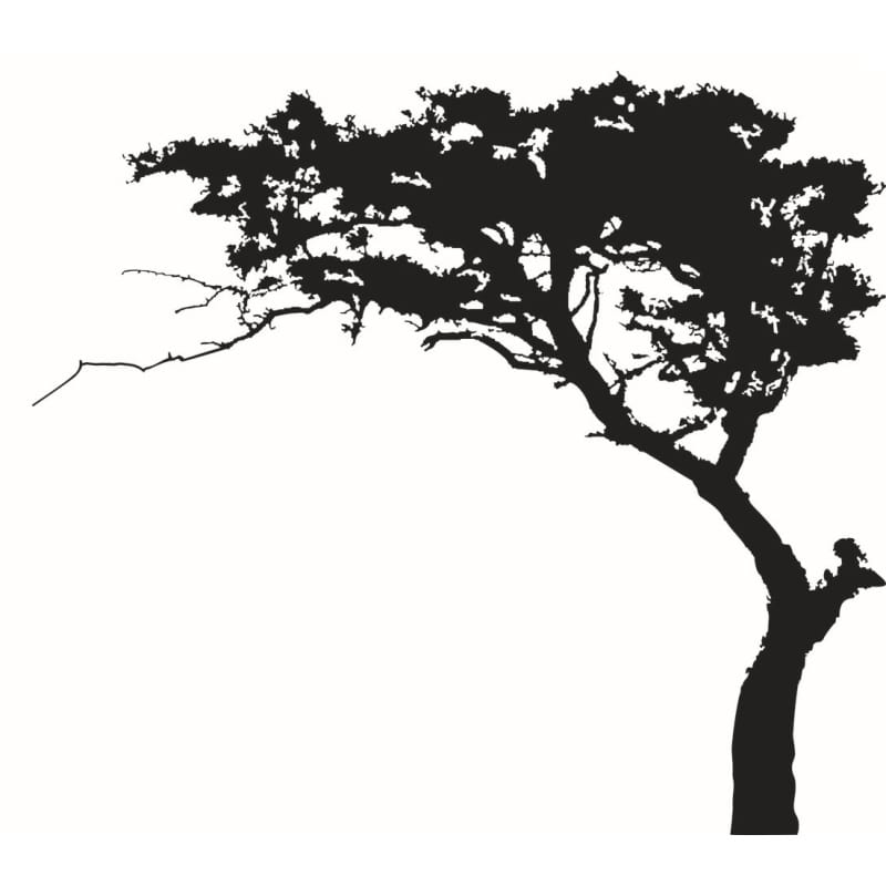 Bonsai Træ Vægklistermærke – Forvandl Dit Hjem Smukt!